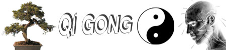 qi chi gong yin yang acupuncture bonzaï banzaï